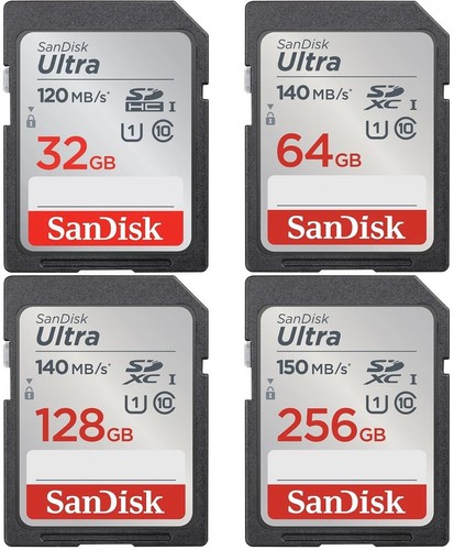 Scheda memoria sandisk - memoria,