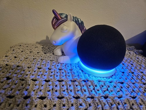 Porta unicorno amzon - porta, echo
